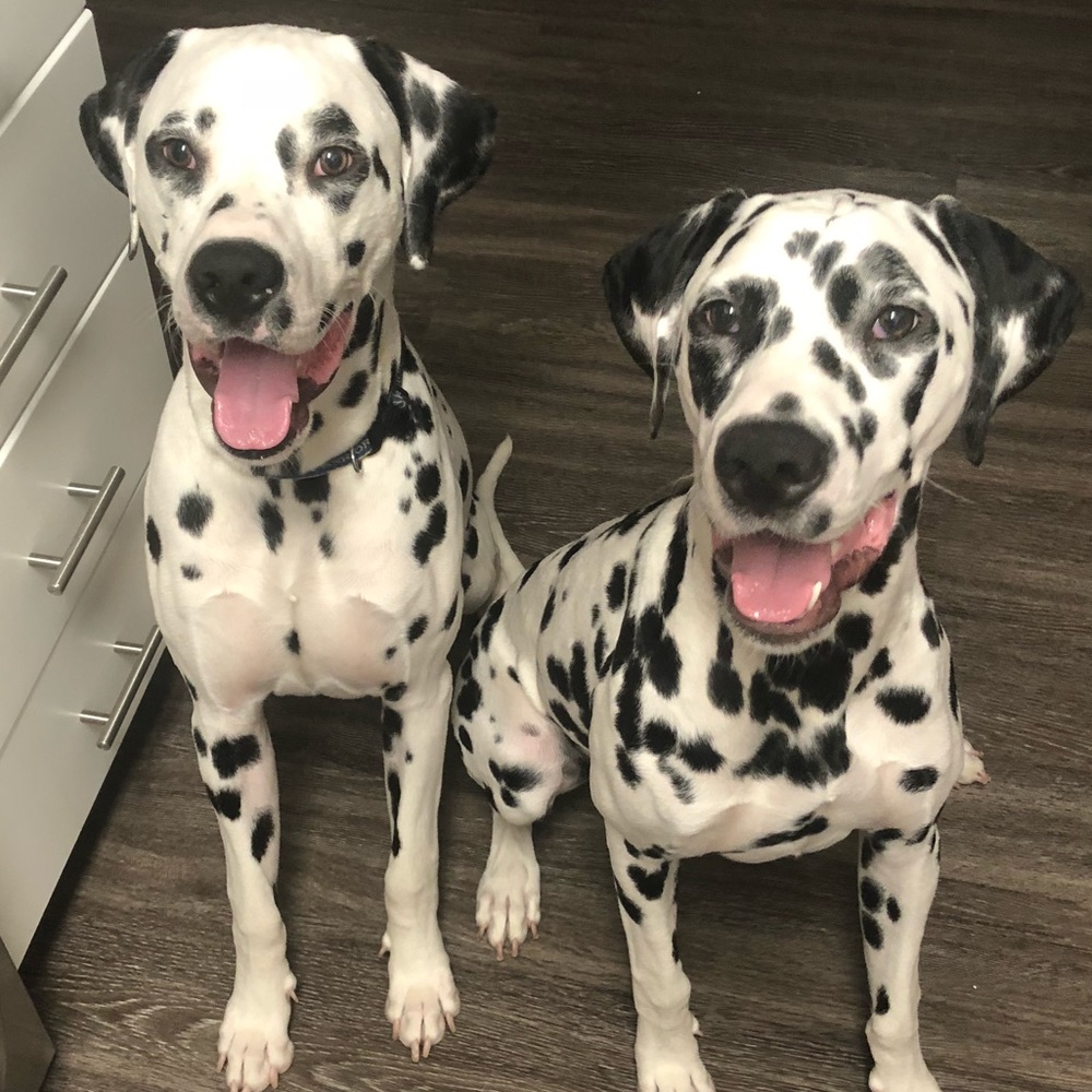 Meet your Posher, Arleen